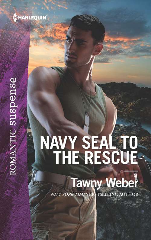 Navy SEAL to the Rescue (Aegis Security #1)