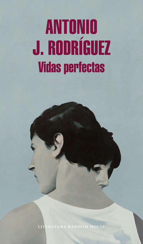 Book cover of Vidas perfectas