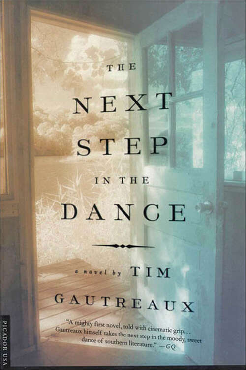 Book cover of The Next Step in the Dance: A Novel