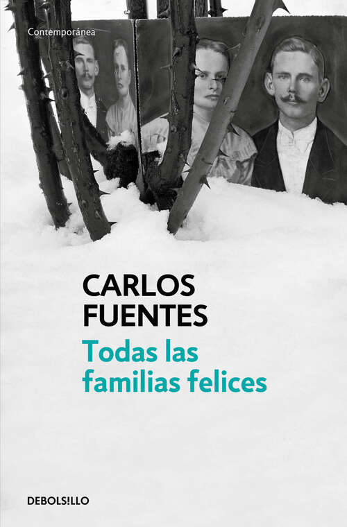 Book cover of Todas las familias felices