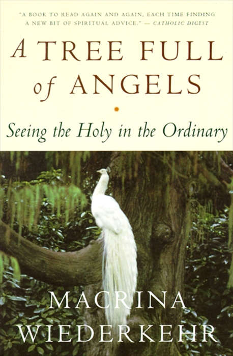 Book cover of A Tree Full of Angels
