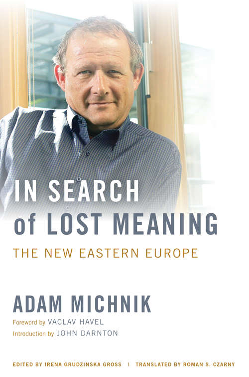 Book cover of In Search of Lost Meaning