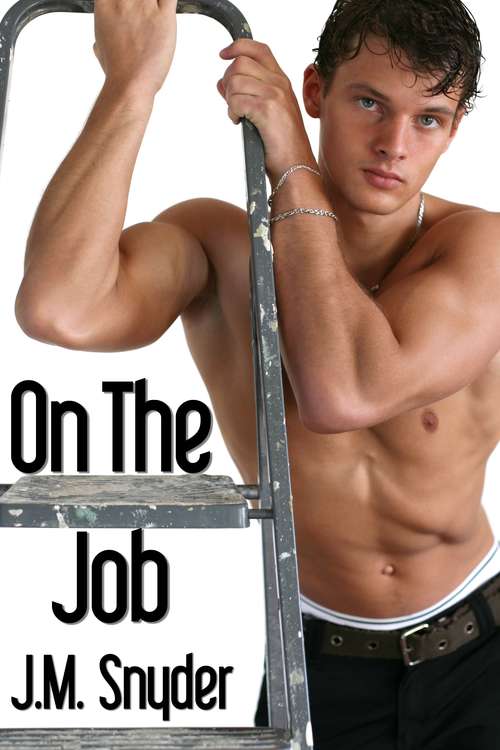 Book cover of On the Job