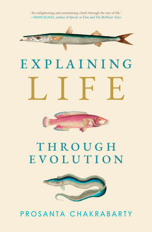 Book cover of Explaining Life through Evolution