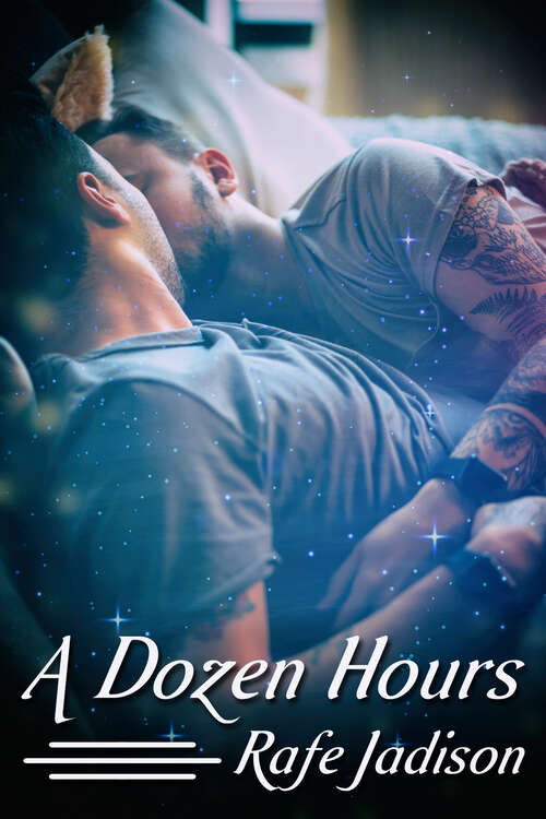 Book cover of A Dozen Hours