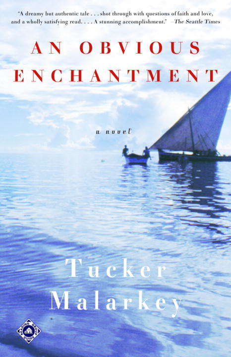 Book cover of An Obvious Enchantment