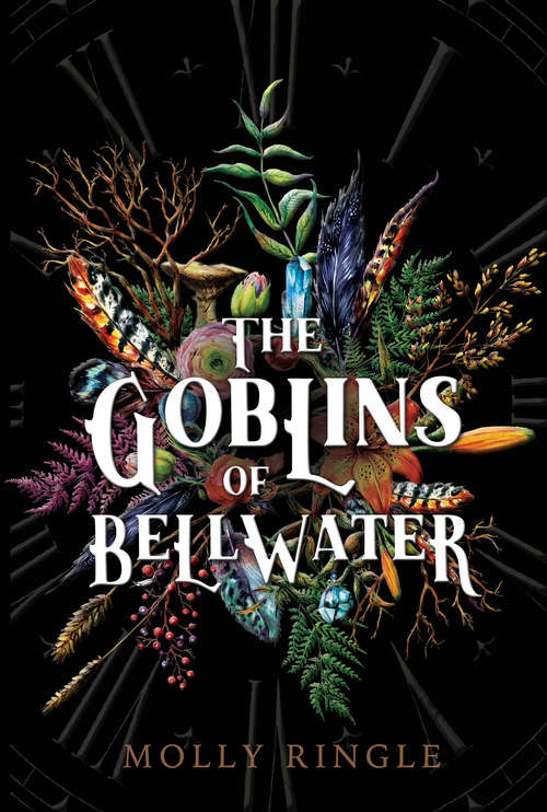 Book cover of The Goblins of Bellwater