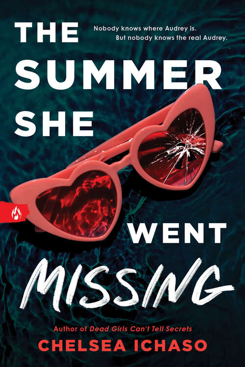 Book cover of The Summer She Went Missing
