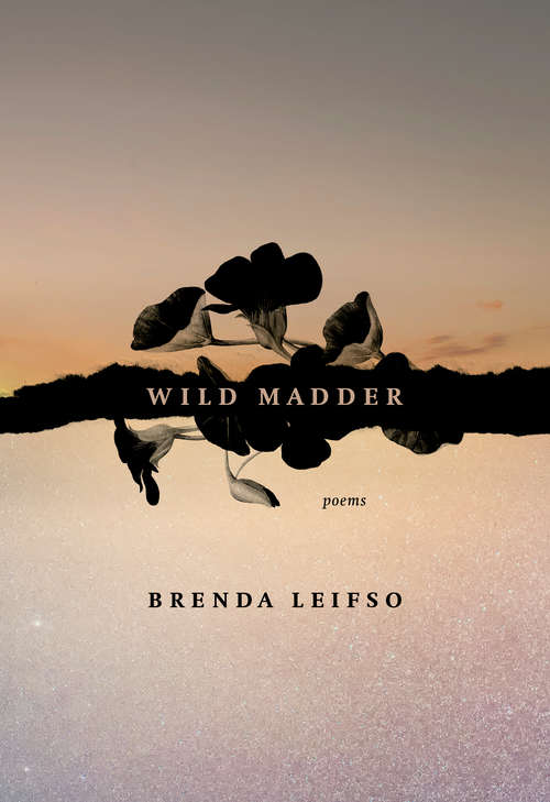 Book cover of Wild Madder