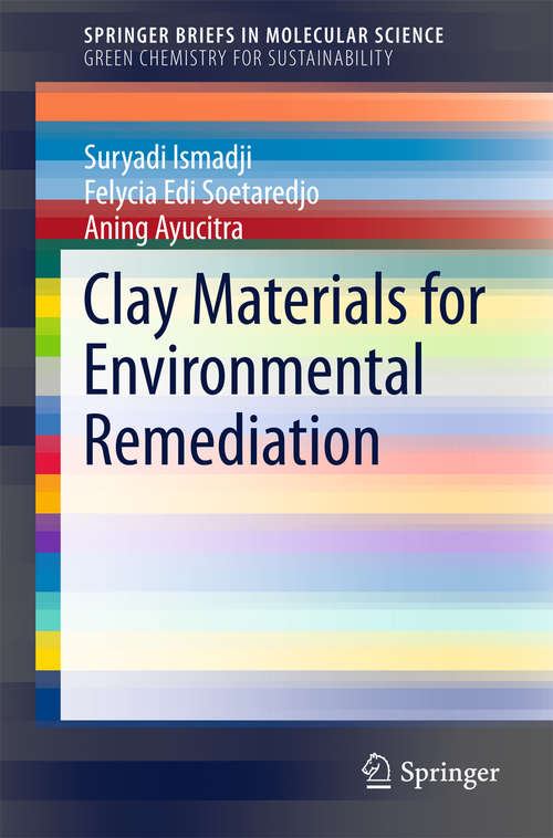 Clay Materials for Environmental Remediation (SpringerBriefs in Molecular Science)