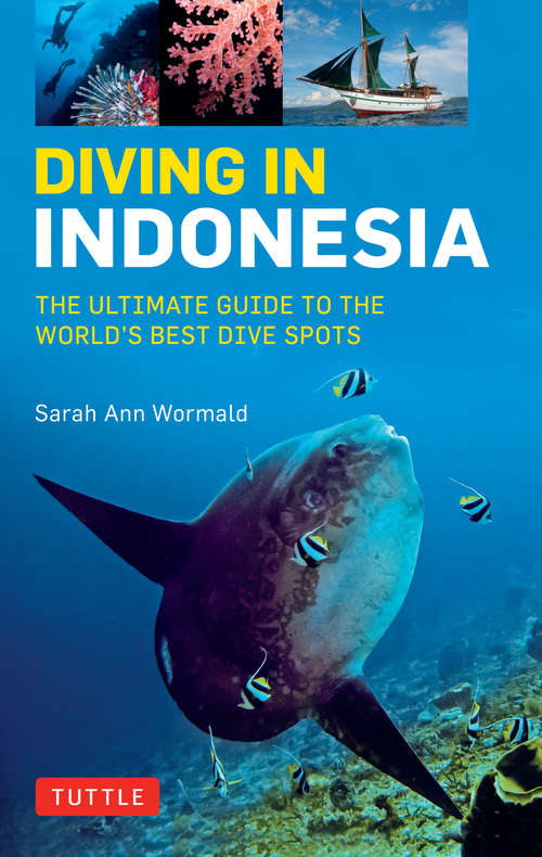 Diving in Indonesia: Bali, Komodo, Sulawesi, Papua, and more