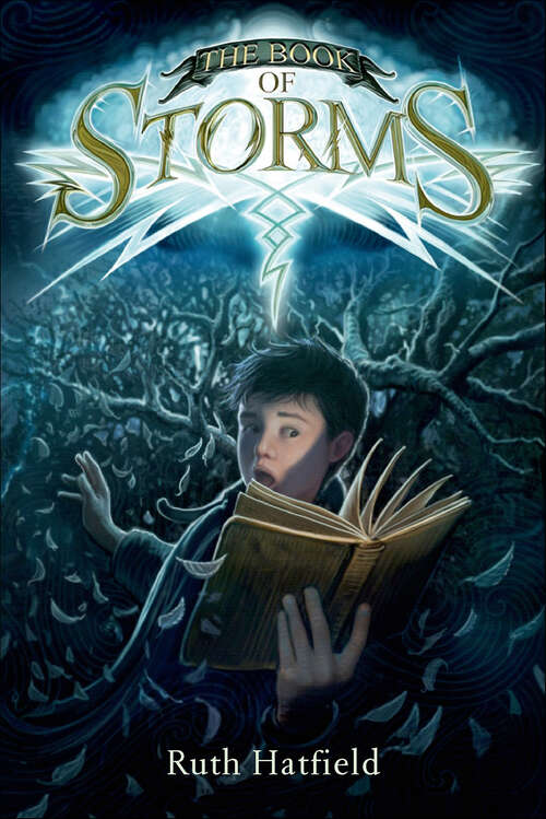 Book cover of The Book of Storms (The\book Of Storms Trilogy Ser. #1)