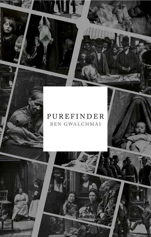 Book cover of Purefinder
