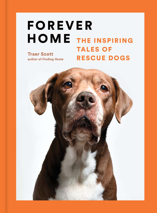 Book cover of Forever Home: The Inspiring Tales of Rescue Dogs