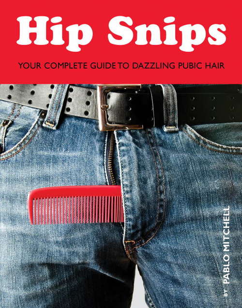 Book cover of Hip Snips