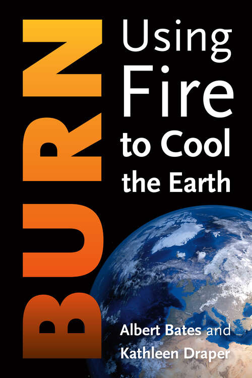 Book cover of Burn: Igniting a New Carbon Drawdown Economy to End the Climate Crisis