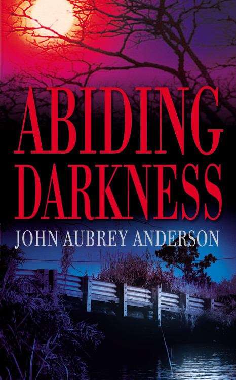 Book cover of Abiding Darkness