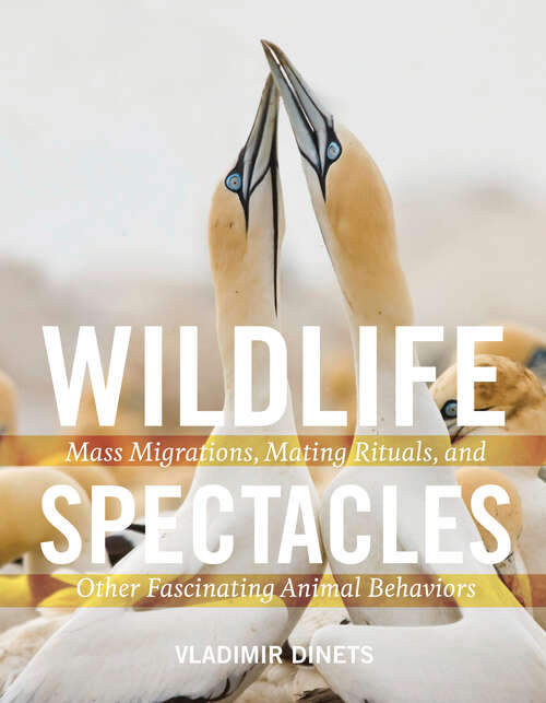 Book cover of Wildlife Spectacles: Mass Migrations, Mating Rituals, and Other Fascinating Animal Behaviors