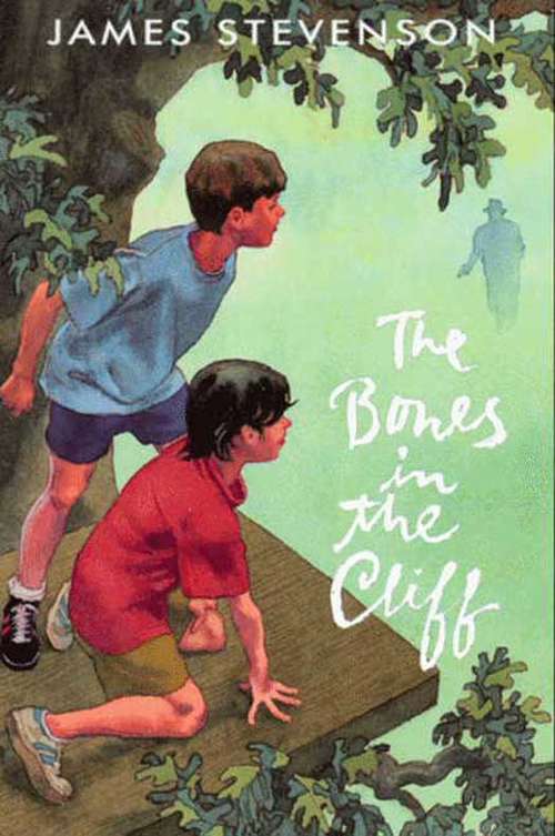 Book cover of The Bones in the Cliff