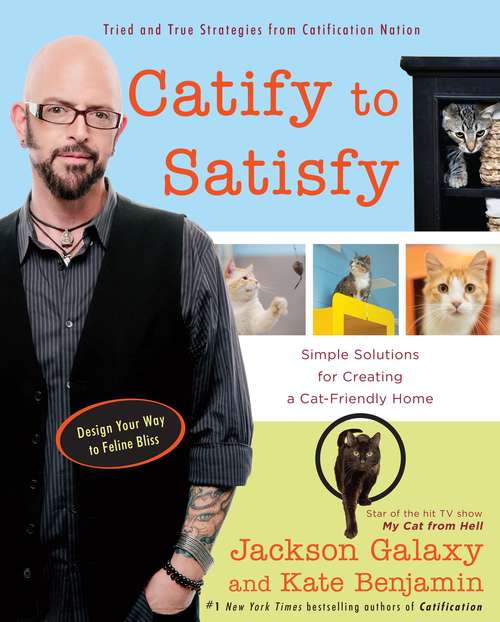 Book cover of Catify to Satisfy