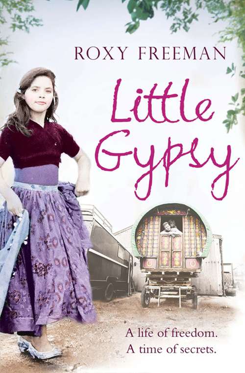 Book cover of Little Gypsy