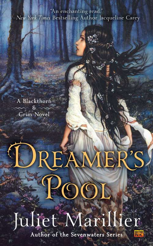 Book cover of Dreamer's Pool