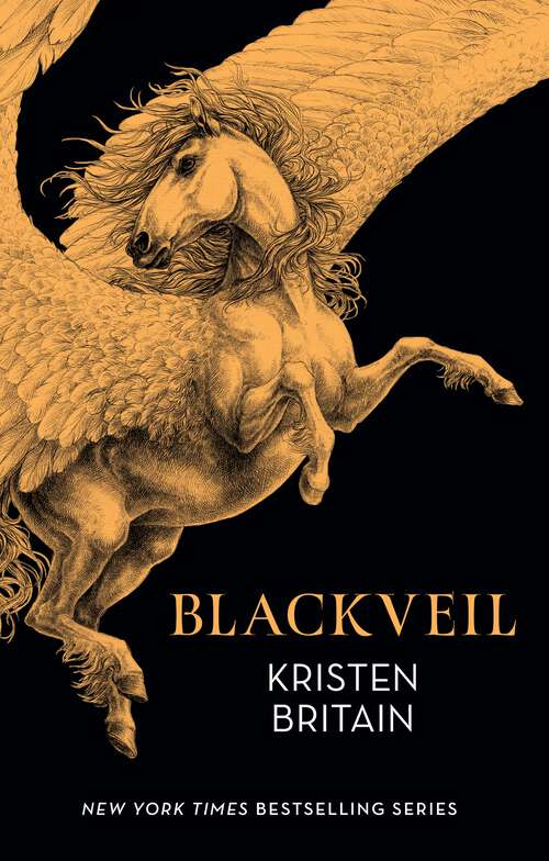 Book cover of Blackveil: Book Four (Green Rider #4)
