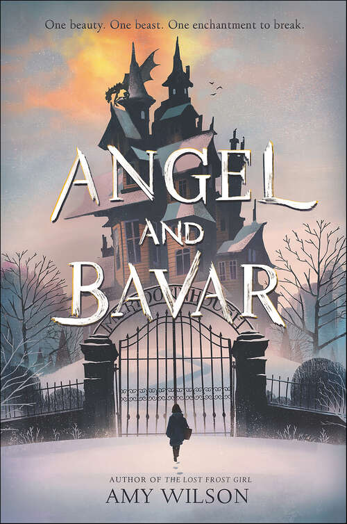 Book cover of Angel and Bavar