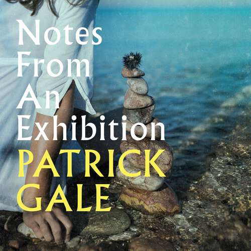 Book cover of Notes from an Exhibition