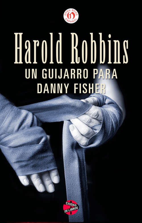 Book cover of Un guijarro para Danny Fisher