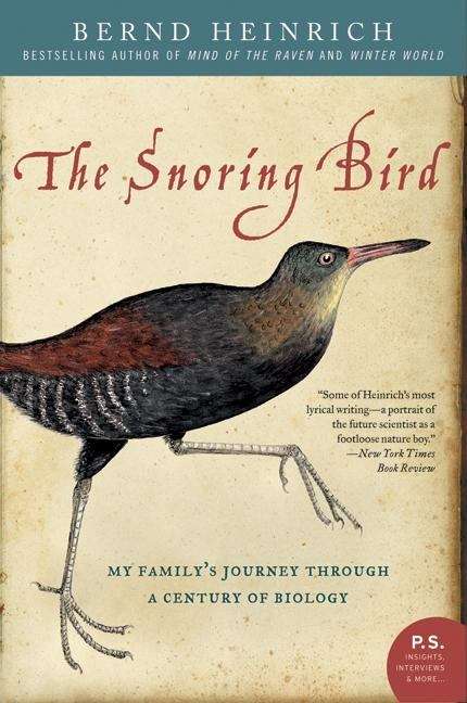 Book cover of The Snoring Bird
