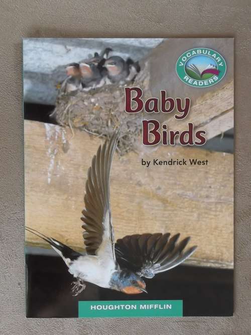 Book cover of Baby Birds (Houghton Mifflin Vocabulary Reader Accompanies Journeys)