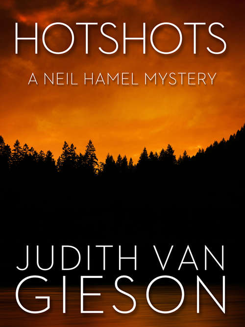 Book cover of Hotshots