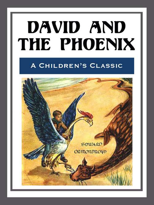 Book cover of David and the Phoenix - Illustrated
