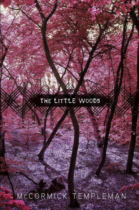 Book cover of The Little Woods