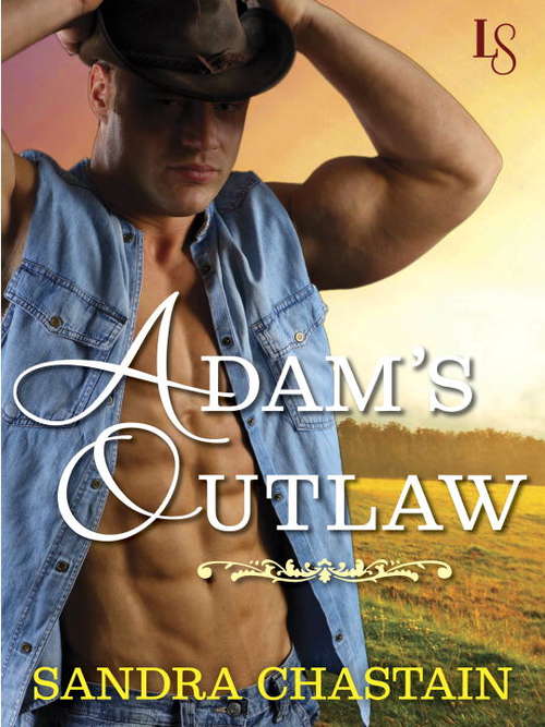 Book cover of Adam's Outlaw