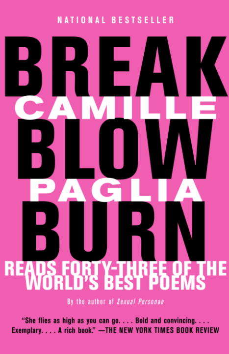 Book cover of Break, Blow, Burn