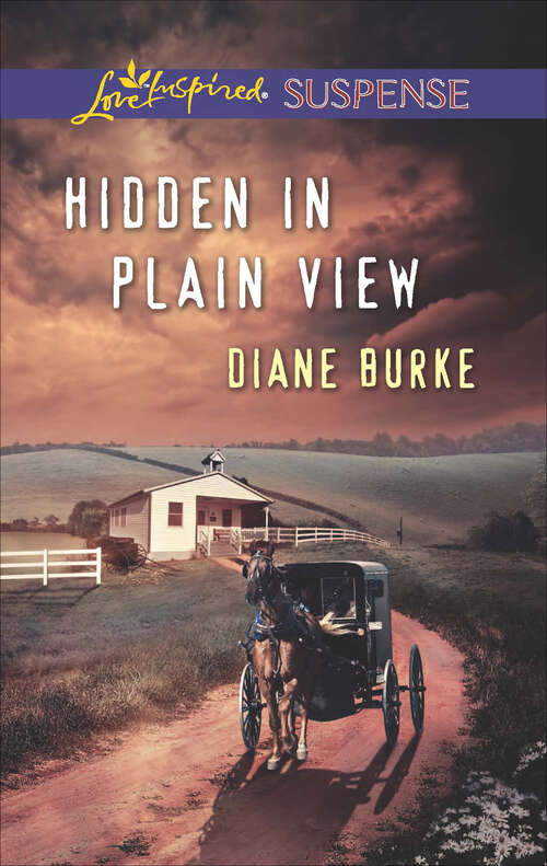 Book cover of Hidden in Plain View