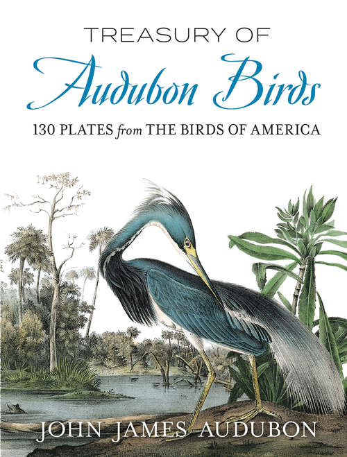 Treasury of Audubon Birds: 130 Plates from The Birds of America