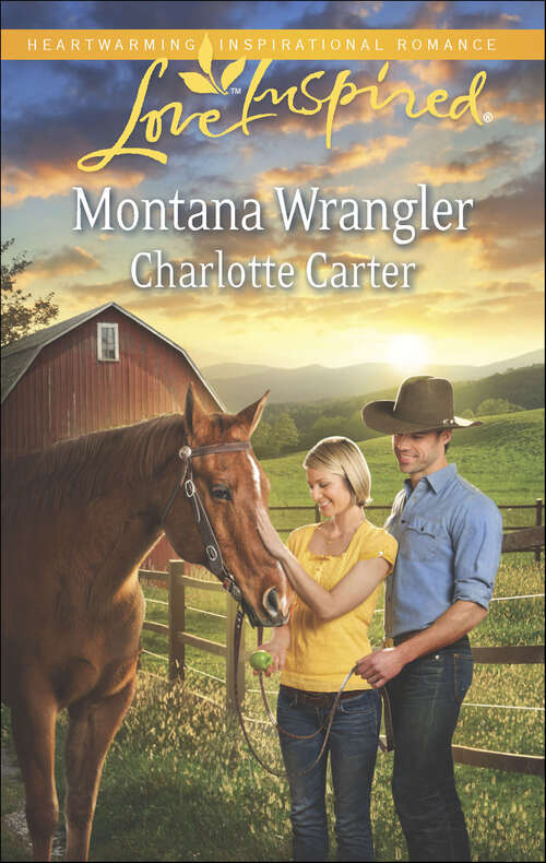 Book cover of Montana Wrangler