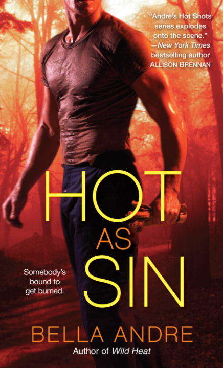 Book cover of Hot as Sin