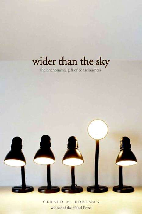 Book cover of Wider Than the Sky