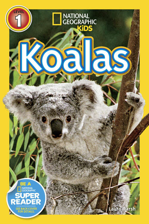 Book cover of Koalas (Readers)