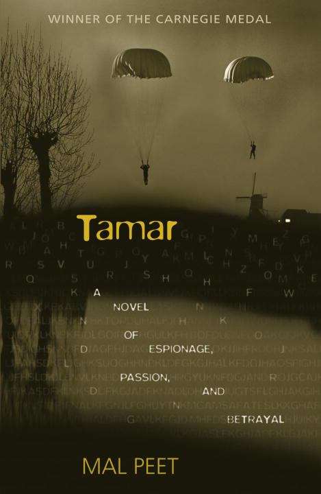 Book cover of Tamar