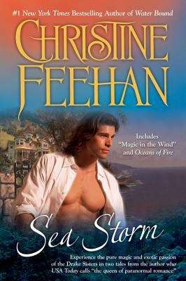 Book cover of Sea Storm