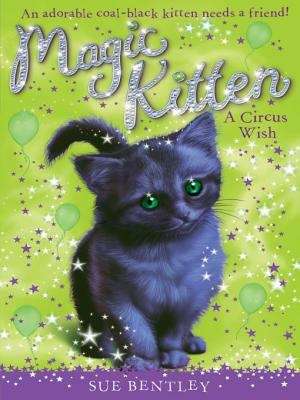 Book cover of A Circus Wish #6