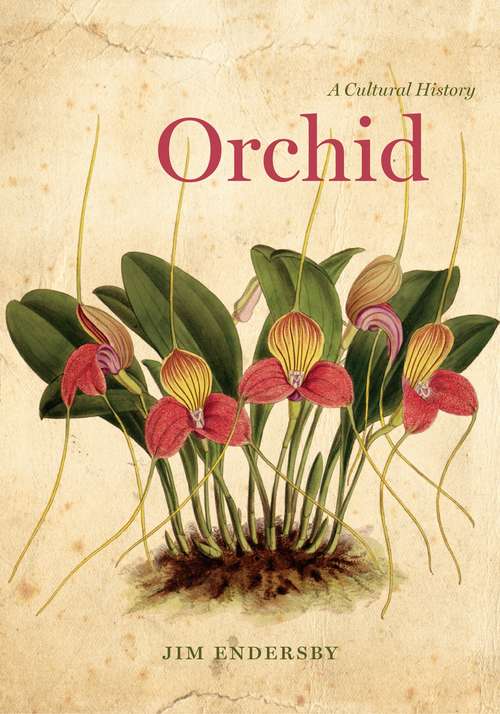 Book cover of Orchid: A Cultural History