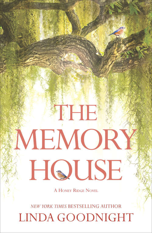 Book cover of The Memory House