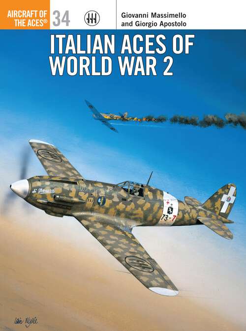 Book cover of Italian Aces of World War 2