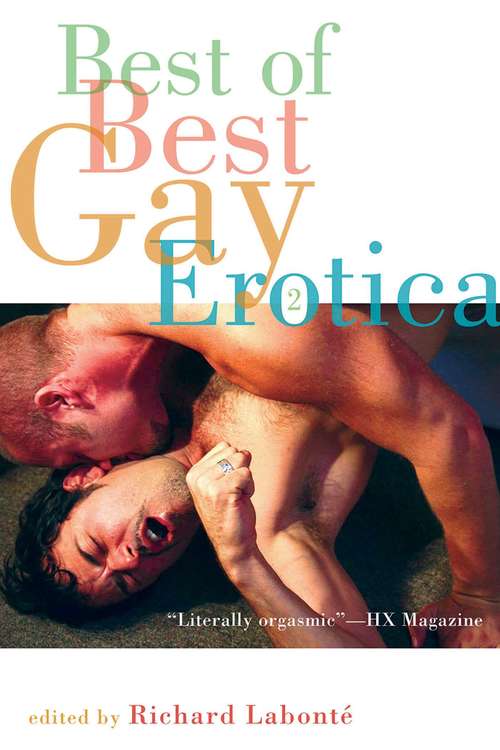 Book cover of Best of Best Gay Erotica 2